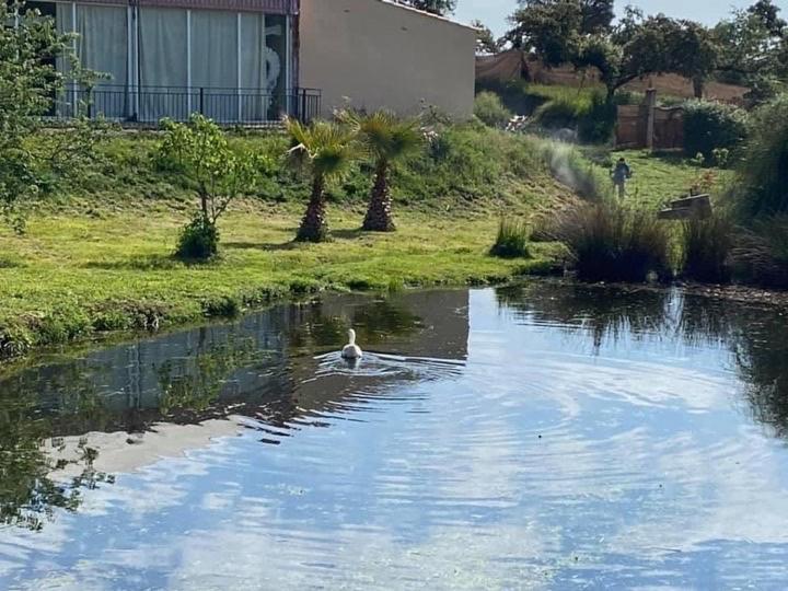 فندق Complejo Rural El Prado Logrosán المظهر الخارجي الصورة